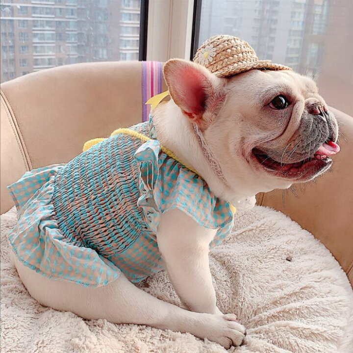 楽天市場 フレンチブルドッグ 服 フリフリ タンクトップ キャミソール 女の子 チェック柄 犬 パピー春 夏 小型犬 中型犬 かわいい オシャレ トイプードル チワワ 柴犬 ダックス ポメラニアン ヨーキー Km273t French French 楽天市場 フレンチブルドッグ 服 フリフリ タンクトップ キャミソール 女の子 チェック柄 犬 パピー春 夏 小型犬 中型犬 かわいい オシャレ トイプードル チワワ 柴犬 ダックス ポメラニアン ヨーキー Km273t French French