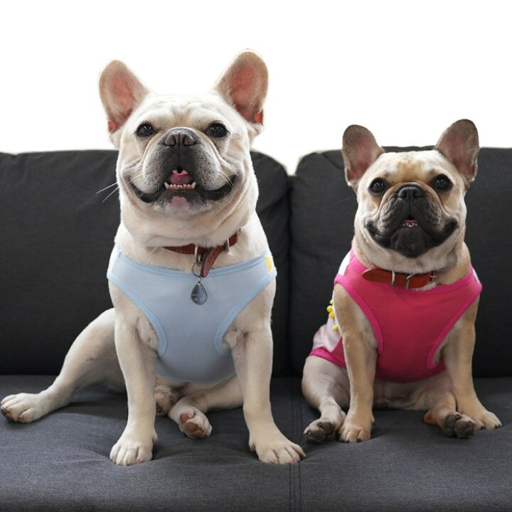 楽天市場 買わなきゃ損 フレブル タンクトップ フレンチブルドッグ 犬 服 おしゃれ カジュアル かわいい 普段着 部屋着 春 夏 犬服 ペットウェア 可愛すぎる ボンボリ Km092t French French 楽天市場 買わなきゃ損 フレブル タンクトップ フレンチブルドッグ 犬 服 おしゃれ カジュアル かわいい 普段着 部屋着 春 夏 犬服 ペットウェア 可愛すぎる ボンボリ Km092t French French