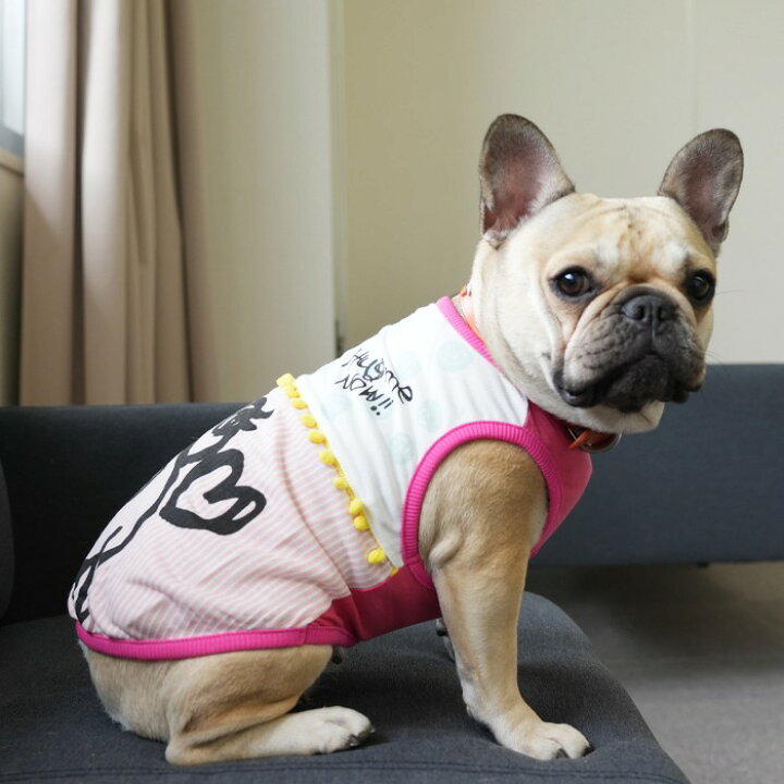 楽天市場 買わなきゃ損 フレブル タンクトップ フレンチブルドッグ 犬 服 おしゃれ カジュアル かわいい 普段着 部屋着 春 夏 犬服 ペットウェア 可愛すぎる ボンボリ Km092t French French