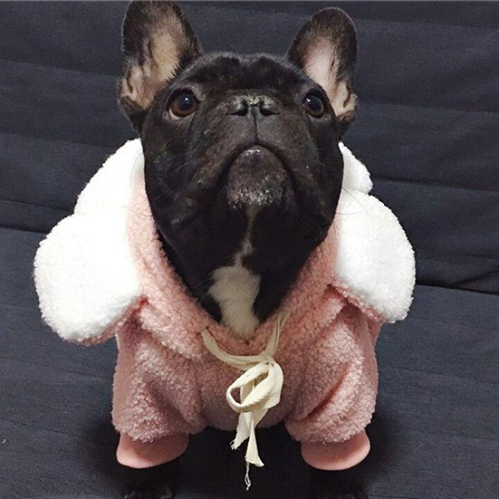 楽天市場 フレンチブルドッグ 犬 服 花 パーカー 秋 冬 人形 ドッグウェア 可愛い ピンク コスプレ もこもこ 暖かい 中型犬 小型犬 秋冬 Km122ts French French