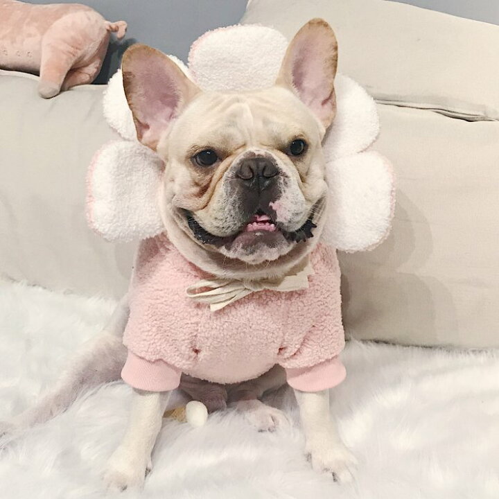 楽天市場 ポイント5倍 フレンチブルドッグ 犬 服 花 パーカー 秋 冬 人形 ドッグウェア 可愛い ピンク コスプレ もこもこ 暖かい 中型犬 小型犬 秋冬 Km122ts French French