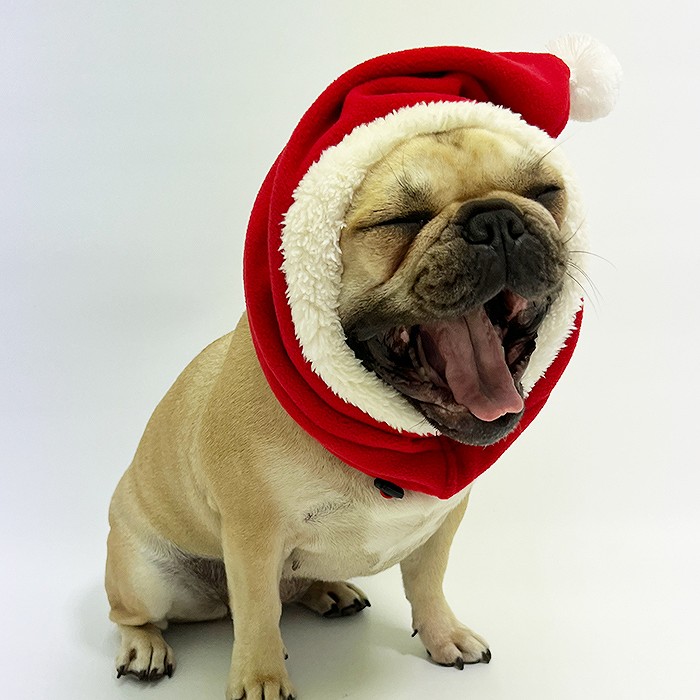 楽天市場】【ワンコインSALE】犬 サンタ帽子 サンタクロース コスプレ