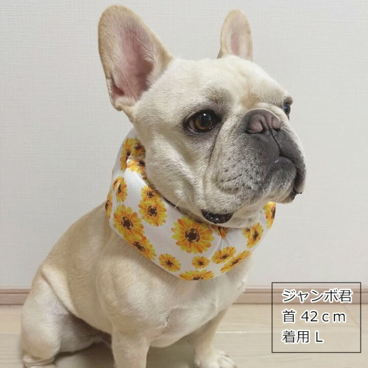 楽天市場 当社オリジナル クールネック 犬 夏 暑さ対策 ひんやり グッズ 保冷剤スヌード 首 裏生地防水 アルミ フレンチブルドック クールスヌード おしゃれ かわいい 熱中症予防 小型犬 中型犬 大型犬 冷たい お散歩km695g French French