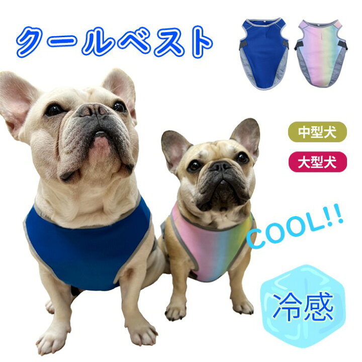 楽天市場 犬 夏 クールベスト 熱中症対策 ひんやりベスト 冷却犬服 犬用 暑さ対策 フレンチブルドッグ フレブル 中型犬 大型犬 ひんやり ウェア 冷感犬服 クールウェア ドッグウェア Km453t French French