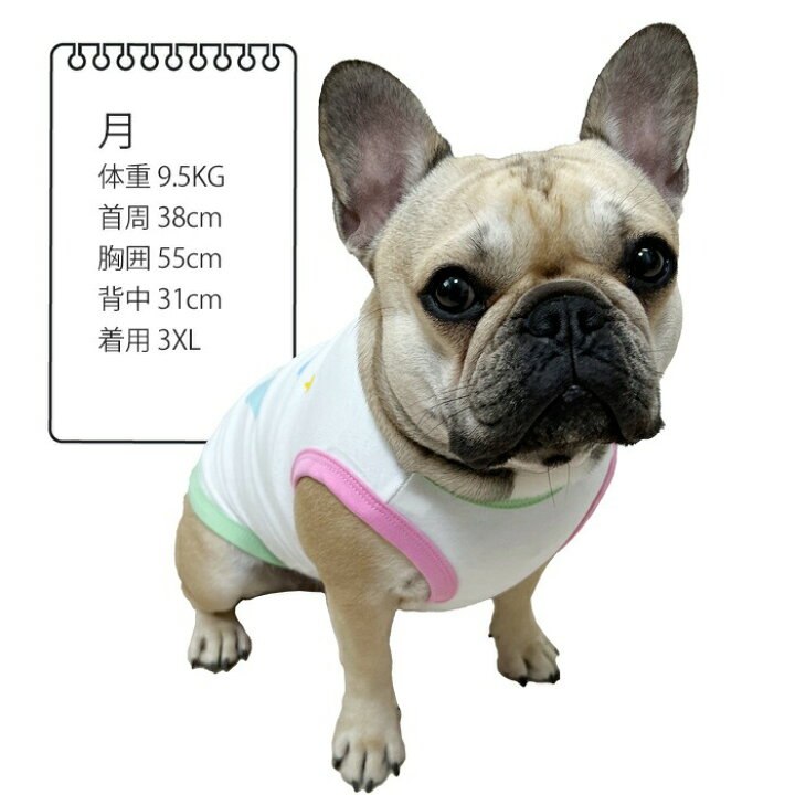 楽天市場 犬服 春夏 可愛い 小型犬 中型犬 トイプードル フレンチブルドッグ フレブル タンクトップ 犬 服 春 夏 ドッグウェア 動きやすい クマ クマ Km454t French French 楽天市場 犬服 春夏 可愛い 小型犬 中型犬 トイプードル フレンチブルドッグ フレブル タンクトップ 犬 服 春 夏 ドッグウェア 動きやすい クマ クマ Km454t French French