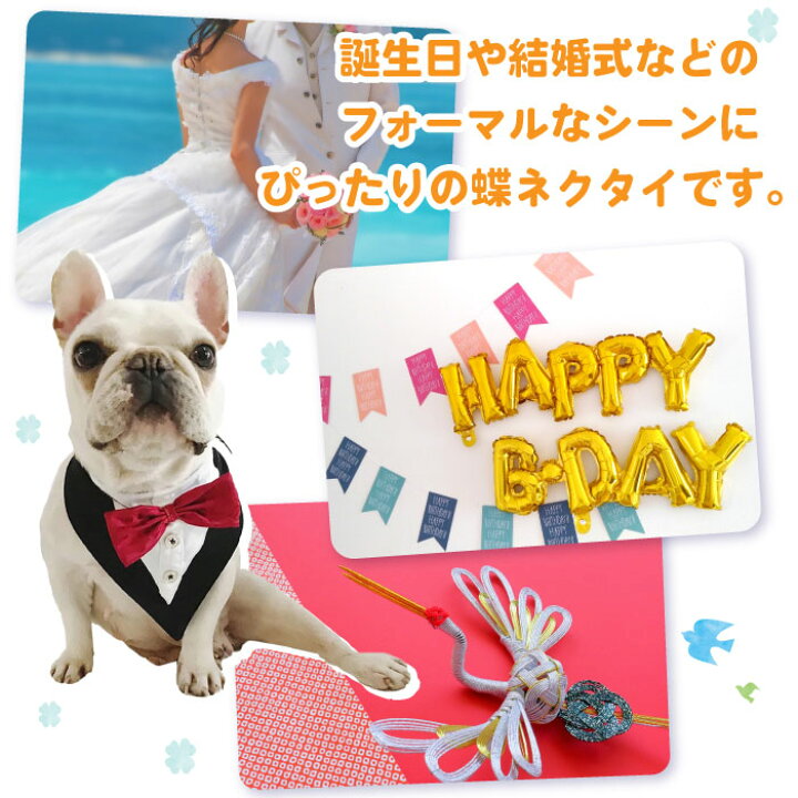 楽天市場 犬 蝶ネクタイ スカーフ ネクタイ ペット用品 ペットグッズ チョーカー 猫 調節可 おしゃれ タキシード フォーマル リボン 小型犬 大型犬 赤 青 Kmg628 French French