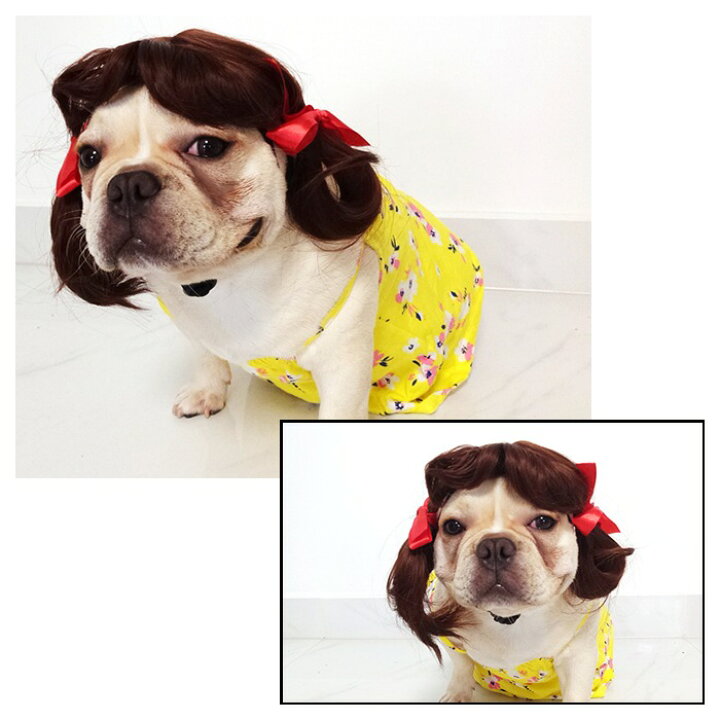 楽天市場 犬 猫 ハロウィン カツラ コスプレ パーマ アフロ おもしろグッズ 変装 フレンチブルドッグ ペット服 服 可愛い 猫服 犬用 面白い コスチューム 小型犬 中型犬 大型犬 変身服 出掛け 撮影道具 Km578g French French 楽天市場 犬 猫 ハロウィン カツラ コスプレ パーマ アフロ おもしろグッズ 変装 フレンチブルドッグ ペット服 服 可愛い 猫服 犬用 面白い コスチューム 小型犬 中型犬 大型犬 変身服 出掛け 撮影道具 Km578g French French