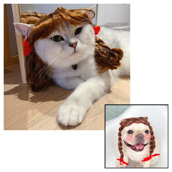 楽天市場 犬 猫 ハロウィン カツラ コスプレ パーマ アフロ おもしろグッズ 変装 フレンチブルドッグ ペット服 服 可愛い 猫服 犬用 面白い コスチューム 小型犬 中型犬 大型犬 変身服 出掛け 撮影道具 Km578g French French 楽天市場 犬 猫 ハロウィン カツラ コスプレ パーマ アフロ おもしろグッズ 変装 フレンチブルドッグ ペット服 服 可愛い 猫服 犬用 面白い コスチューム 小型犬 中型犬 大型犬 変身服 出掛け 撮影道具 Km578g French French