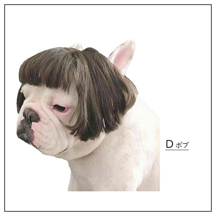 楽天市場 犬 猫 ハロウィン カツラ コスプレ パーマ アフロ おもしろグッズ 変装 フレンチブルドッグ ペット服 服 可愛い 猫服 犬用 面白い コスチューム 小型犬 中型犬 大型犬 変身服 出掛け 撮影道具 Km578g French French