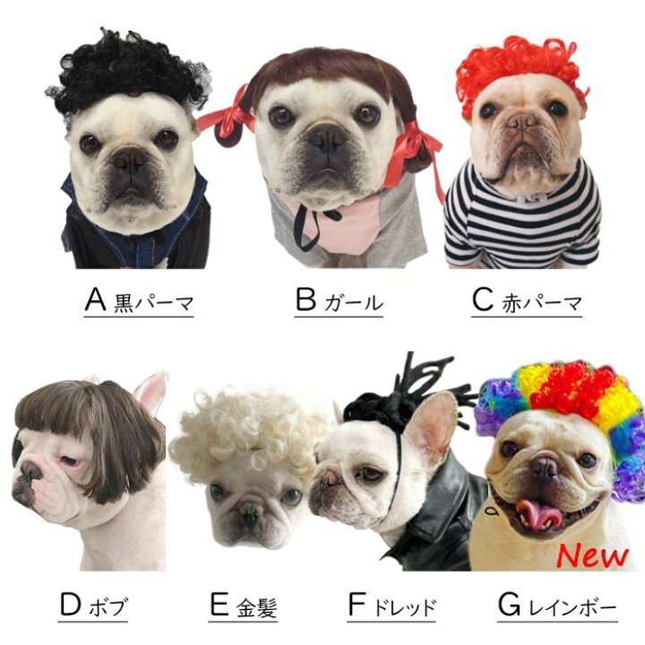 即納送料無料 可愛い 小型犬 犬 おもしろグッズ カツラ ペット服 変装 犬用 コスプレ パーマ ハロウィン アフロ 猫 猫服 服 中型犬 コスチューム フレンチブルドッグ 面白い 犬服 アクセサリー