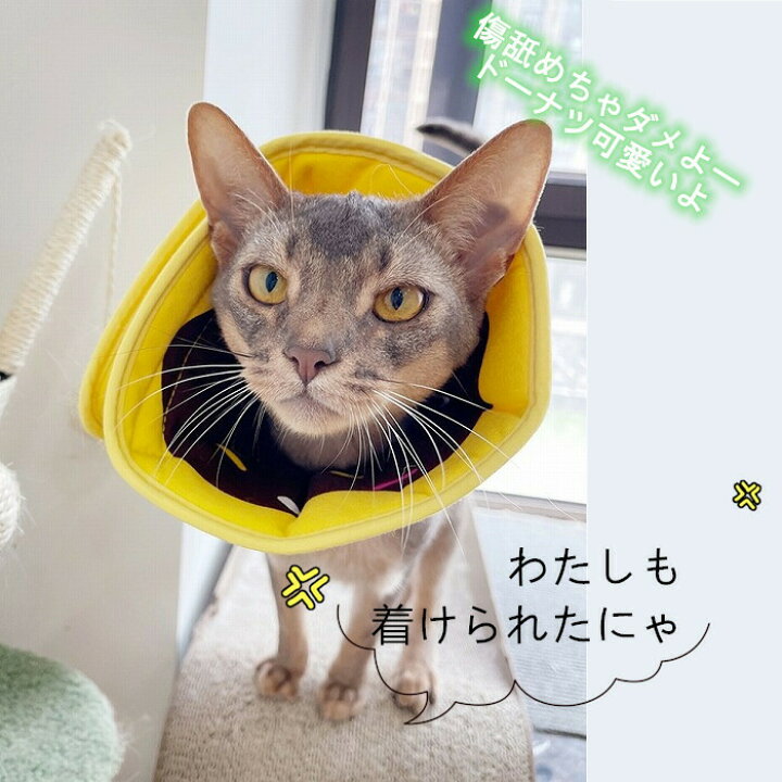 楽天市場 数量限定マスクおまけ 犬 猫 ペット エリザベスカラー ソフトエリザベスカラー 軽量 柔らかい 傷舐め 足舐め 防止 保護 手術後 術後グッズ かわいい おしゃれ Km636g New French French 楽天市場 数量限定マスクおまけ 犬 猫 ペット エリザベスカラー ソフトエリザベスカラー 軽量 柔らかい 傷舐め 足舐め 防止 保護 手術後 術後グッズ かわいい おしゃれ Km636g New French French