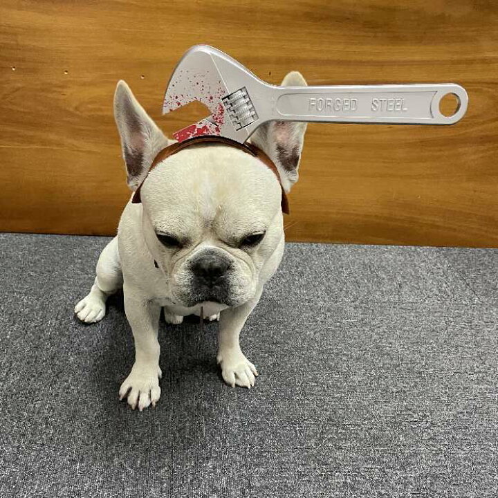 楽天市場 スーパーsale 10 Off 犬 ハロウィン 服 コスプレ 変装 コスチューム フレンチブルドッグ フレブル おもしろグッズ 仮装 変装 秋 冬 クリスマスプレゼント 小型犬 中型犬 大型犬 可愛い ３d 立体感 Km634g French French