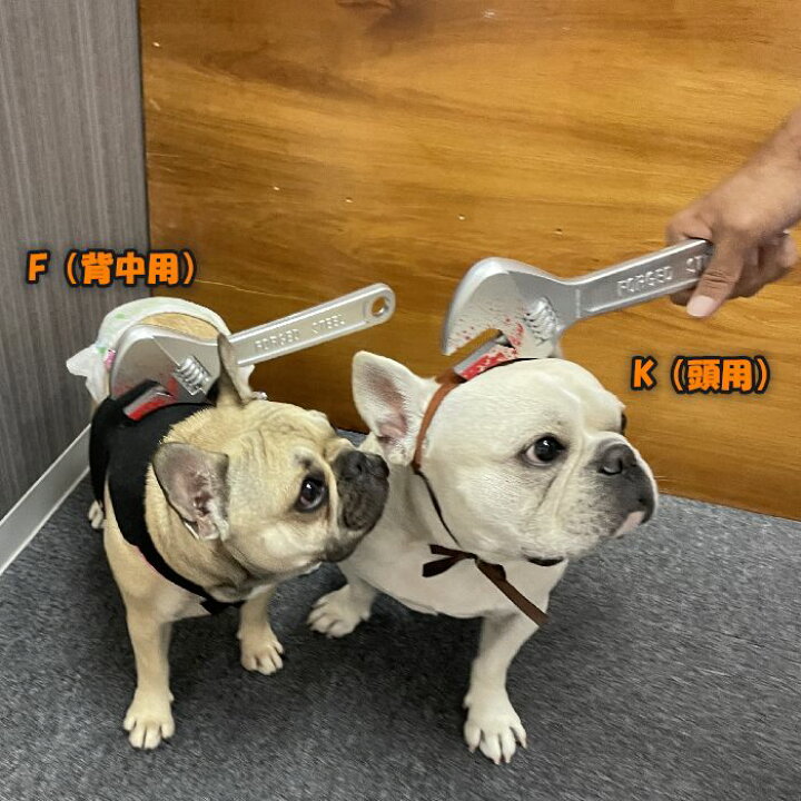 楽天市場 犬 ハロウィン 服 コスプレ 変装 コスチューム フレンチブルドッグ フレブル おもしろグッズ 仮装 変装 秋 冬 クリスマスプレゼント 小型 犬 中型犬 大型犬 可愛い ３d 立体感 Km634g French French