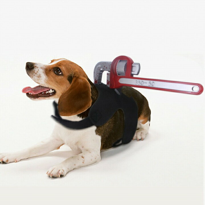 楽天市場 犬 ハロウィン 服 コスプレ 変装 コスチューム フレンチブルドッグ フレブル おもしろグッズ 仮装 変装 秋 冬 クリスマスプレゼント 小型 犬 中型犬 大型犬 可愛い ３d 立体感 Km634g French French