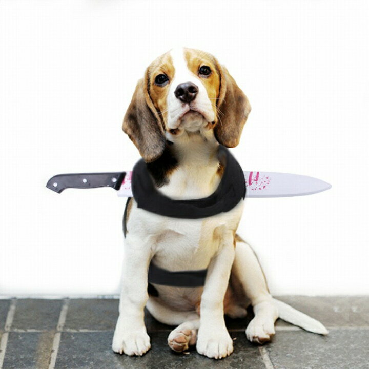 楽天市場 犬 ハロウィン 服 コスプレ 変装 コスチューム フレンチブルドッグ フレブル おもしろグッズ 仮装 変装 秋 冬 クリスマスプレゼント 小型 犬 中型犬 大型犬 可愛い ３d 立体感 Km634g French French