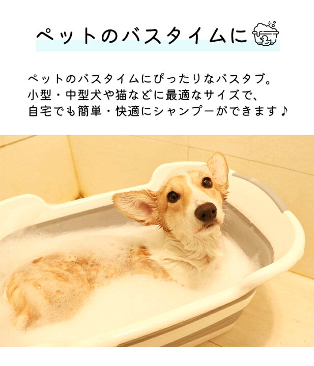 楽天市場】犬 お風呂 ペットバス ペットのお風呂 ペット用バスタブ 