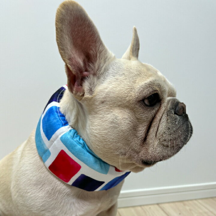 クールネック犬用 クールスヌード 熱中症対策 フレブル フレンチブルドッグ 涼しい 犬用 アクセサリー ひんやり快適 お散歩 6色 6カラー Km500g Lサイズ C柄 35 Off