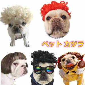 犬用ペット服 おもしろ カツラの人気商品 通販 価格比較 価格 Com