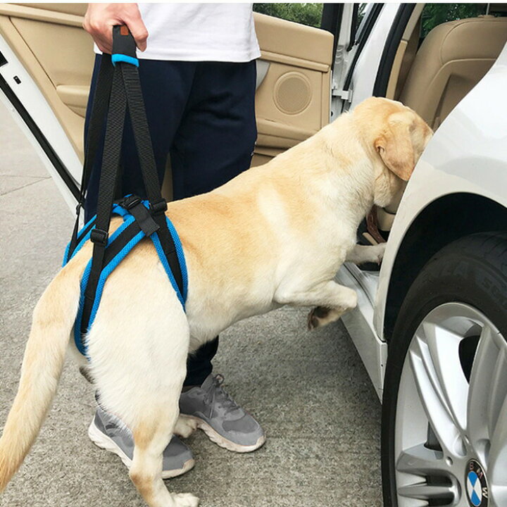 楽天市場 犬 介護 ハーネス 後ろ足用 補助 歩行補助 サポート メッシュ 介助 かわいい サポートハーネス ドッグ シニア 犬 小型犬 中型犬 大型犬 優しい 痛くない Km530g French French