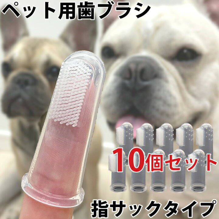 楽天市場 78時間限定 最大10倍ポイント 犬 歯ブラシ 10点セット ペット用歯ブラシ シリコン 指サック 歯周病予防 口腔ケア デンタルケア お買い物マラソン 1000円 Km549g 10 French French