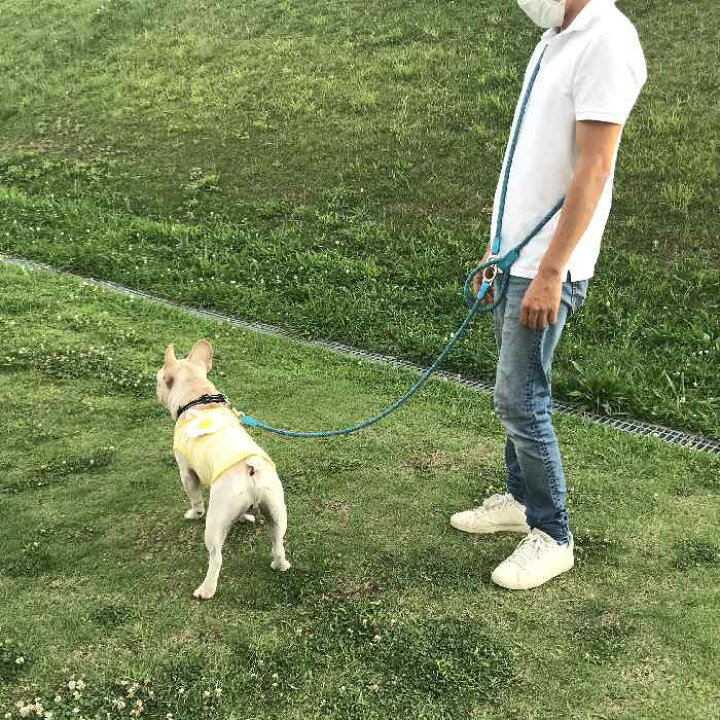 楽天市場 送料無料 犬 肩掛け リード ショルダーリード 大型犬 外れない 防止 中型犬フレンチブルドッグ ハンズフリー 超小型犬 小型犬 中型犬 大型犬 斜め掛け 肩かけリード ペット 丈夫 Km523g French French 楽天市場 送料無料 犬 肩掛け リード ショルダーリード 大型犬 外れない 防止 中型犬フレンチブルドッグ ハンズフリー 超小型犬 小型犬 中型犬 大型犬 斜め掛け 肩かけリード ペット 丈夫 Km523g French French