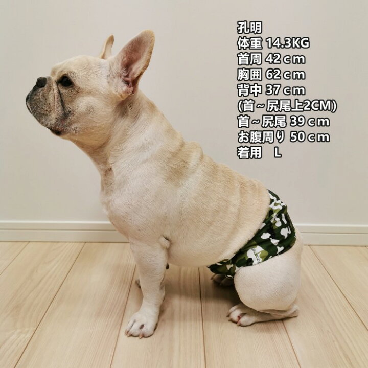 マナーパンツ 犬 フレンチブルドック メス 交配 去勢 嫌がる 女の子 介護用 消臭 オムツ 散歩 シニア犬 かぶれ 1000円 カバー Km694g 介護 お買い物マラソン 高齢犬 避妊