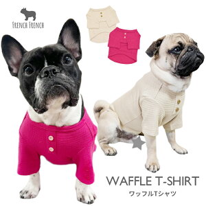 yЃIWiz   TVc btTVc 萶n sN x[W O[W tu t`uhbO pO bt Vv [EFA  