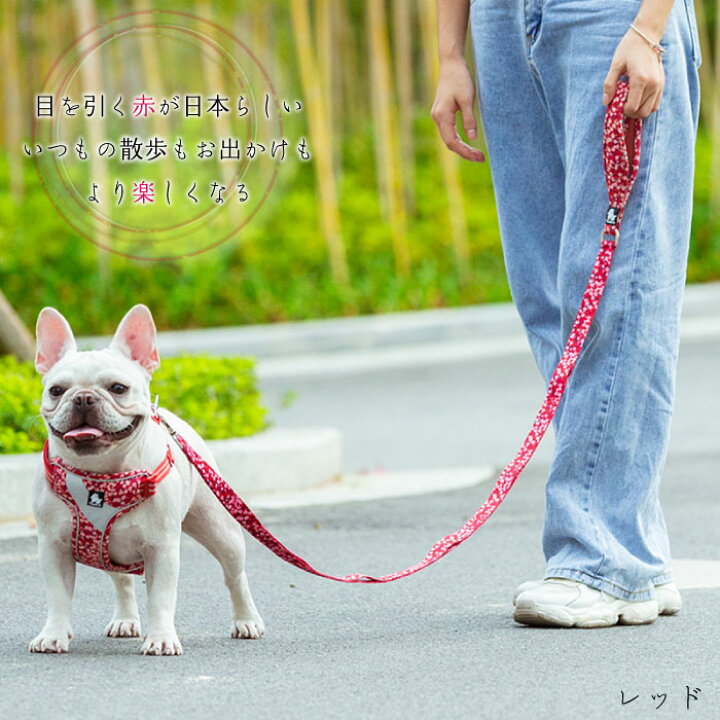 楽天市場 ポイント10倍 犬 リード 和柄 綿 コットン 犬用 フレンチブルドッグ 超小型犬 小型犬 中型犬 おしゃれ ソフトハンドル 140cm 大型犬 スタンダードリード メール便送料無料犬 Km661g French French