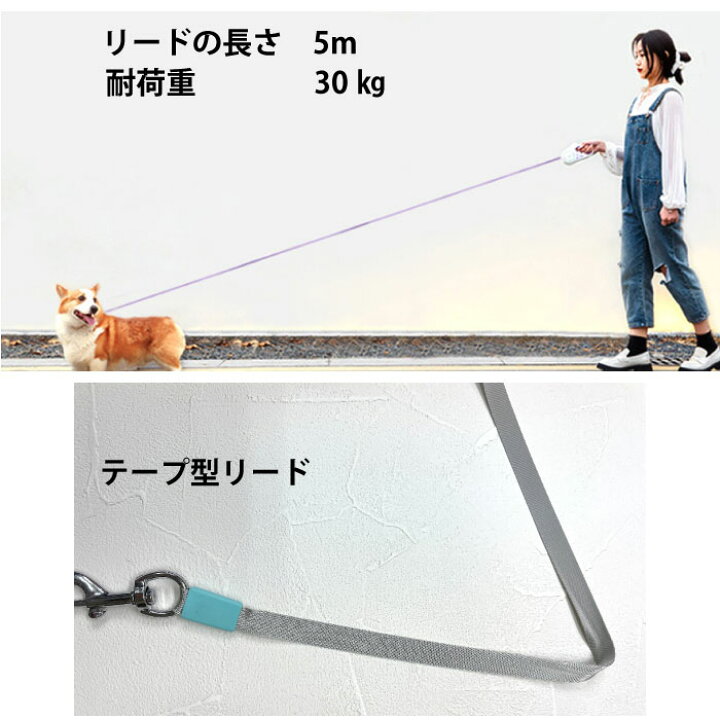 犬リード 伸縮式リード ペット用品 小中大型犬用 散歩ひも 照明ライト付き 簡単操作 自動巻き取り式ドッグリード 訓練 長さ5m 黒 正規激安 ペット用品