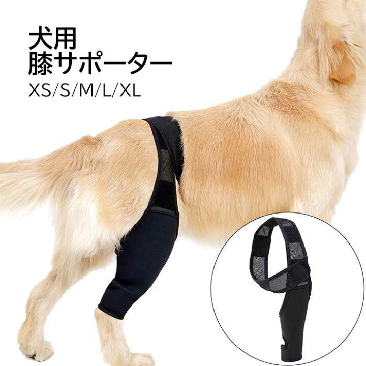 楽天市場 犬 サポーター 犬用 膝 関節 膝 靭帯 脱臼 保護 プロテクター 介護 犬用 膝 関節 膝 靭帯 脱臼 保護 プロテクター 介護 足プロテクター 保護用包帯 通気性 超軽量 弾力 手術怪我固定 足の保護km677g French French