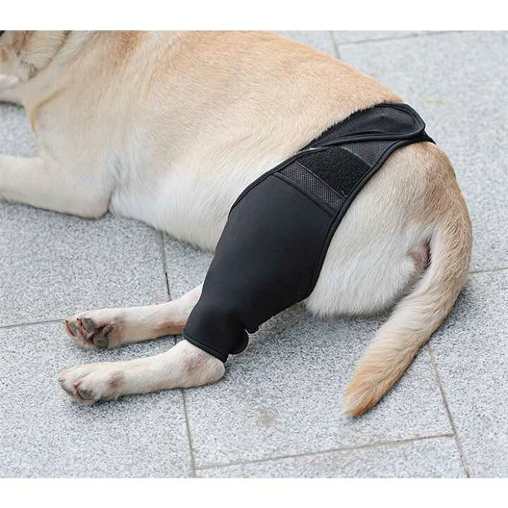 楽天市場 犬 サポーター 犬用 膝 関節 膝 靭帯 脱臼 保護 プロテクター 介護 犬用 膝 関節 膝 靭帯 脱臼 保護 プロテクター 介護 足プロテクター 保護用包帯 通気性 超軽量 弾力 手術怪我固定 足の保護km677g French French