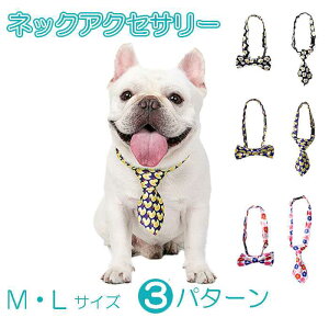 y 1000~ۂz lbNANZT[ lN^C lN^C t`uhbN {  킢 L CX^f p[eB[   t  ybgpi a 