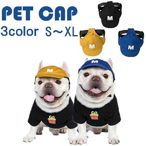  t`uhbN tuL t Xq  Lbv 싅 ANZT[ wAANZ u[ CG[ ubN gCv[h ` Č _bNX |jA [L[ KM672G