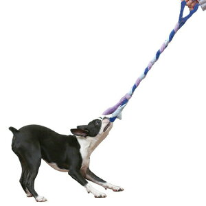 y񂹁z gXg~[ [v ANA ( M[ , ANA )yKiz