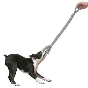 y񂹁z gXg~[ [v PRO r^[O[ ( v , r^[O[ )