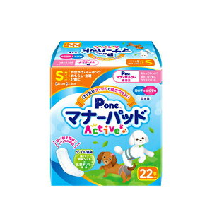 y񂹁z }i[pbhActive S 22 ( S 22 )