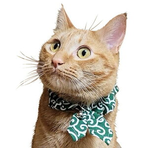 y񂹁z u[~[ LbgXJ[t  {