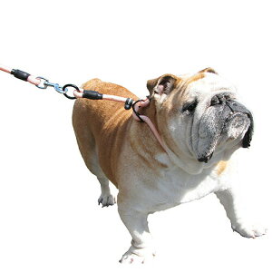 y񂹁z p[N}X^[ [NAEg `[N[h L sN ( L , sN )