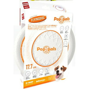 y񂹁z GiGwi |bvp tCOfBXN