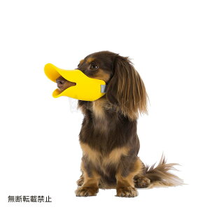 y񂹁z OPPO quackiN@bNj SM CG[ ( SM , CG[ ) ֖{́FyKizAohEobNF{A^gāF{