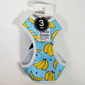 y񂹁z IrAX~X xXgn[lX oii 3 ( 3 , oii ) 