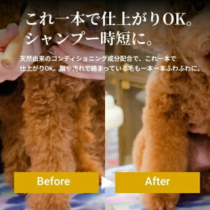 y񂹁z }bgybgVv[ 400mL {