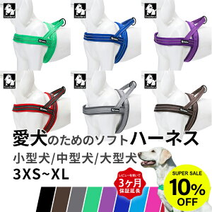 yr[T ۏ؁z Truelove  t`uhbO n[lX \tgn[lX  S 11F ˑf 킢 Jt ԈS  ʋC NbV ^ KM517G