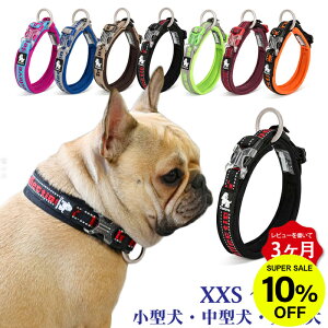 yr[T ۏ؁z Truelove    ɂȂ ^ ^ ^ ^ 킢  NbV Jt t`uhbO KM520G