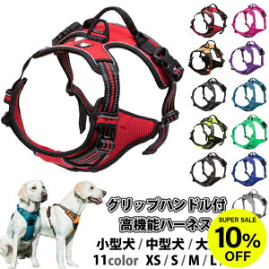 yr[T 3ۏ؁z Truelove t`uhbO  \tgn[lX n[lX ^ ^ ^ ^    S11F ˑf 킢 Jt 