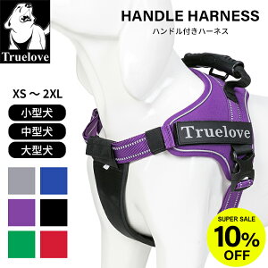 Truelove nhtn[lX \tgpbh  @\f \tgn[lX n[lX y ^ ^ ^    S 6F ˑf 킢 Jt ԈS 