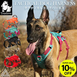 yX[p[SALE 10%OFFz Truelove ^ @\n[lX Eh~ ϋv n[lX @\ NbV ^    S ˑf 킢 Jt ԈS  D ɂȂ 