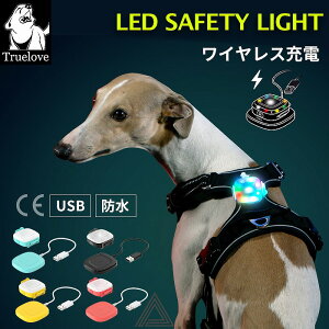 yȈՃbsOΏہzp LED Cg  C{[J[ 7F IP65 CX[d USB h 邢 ԎU ֎t\ SNA ^ ^ [h _ _