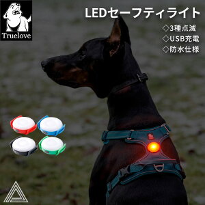 Truelove LEDZ[teB[Cg USB[d h ԎU ֎t\ SNA  ^ ^ ^ ^  Jt ybgp TLD19103