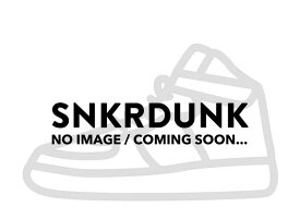【今だけ500円割引クーポンあり!!】Nike ナイキ SB ナイジャ3 ホット パンチ ナイキ ナイキ SB ナイジャ3 ホット パンチ DV7896-600 メンズ スニーカー ランニングシューズ 21SN-DV7896-600